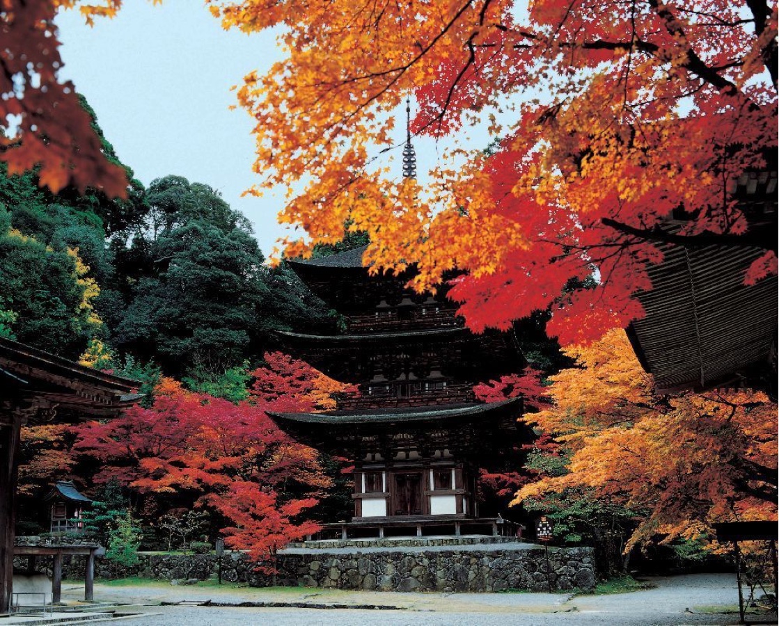 西明寺