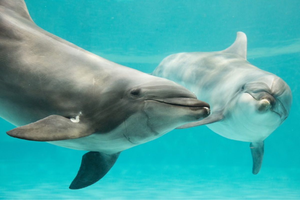 水族館