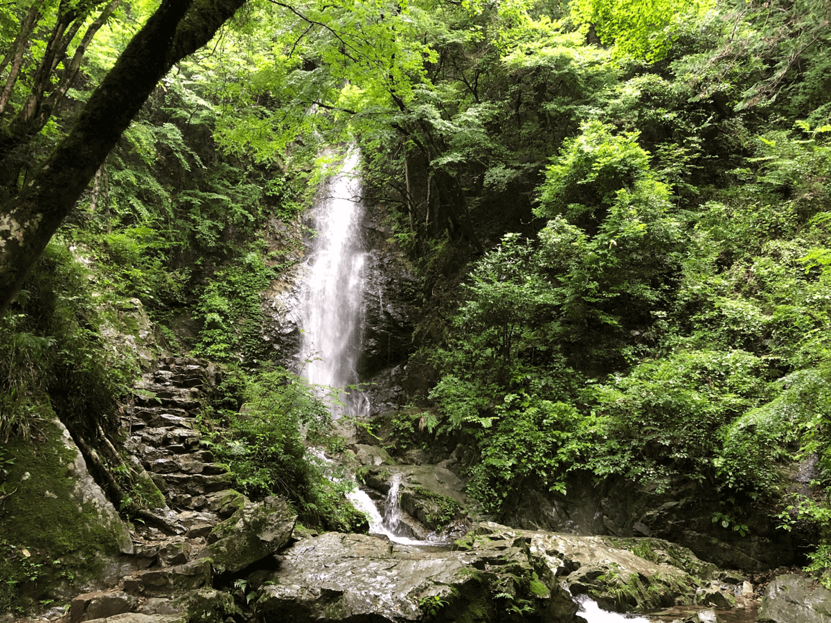 檜原村払沢の滝