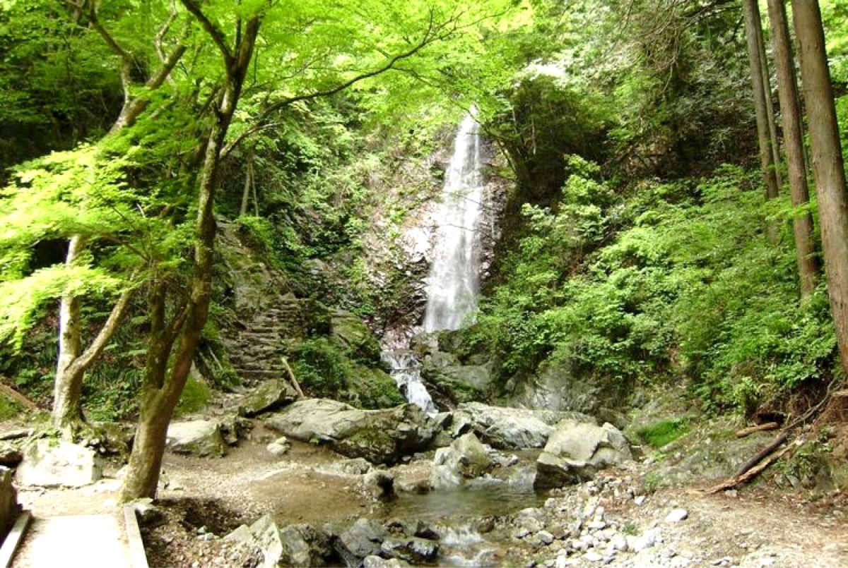 滝