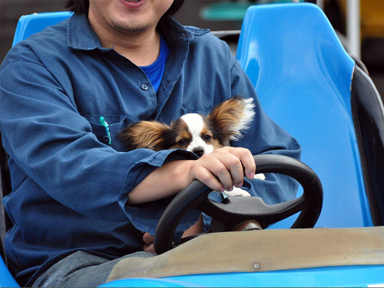 犬連れ 伊豆高原 伊豆ぐらんぱる公園